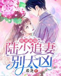 �������ࣺ½��׷�ޱ�̫��